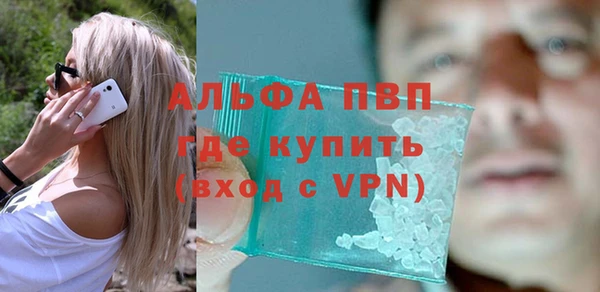 крисы Надым
