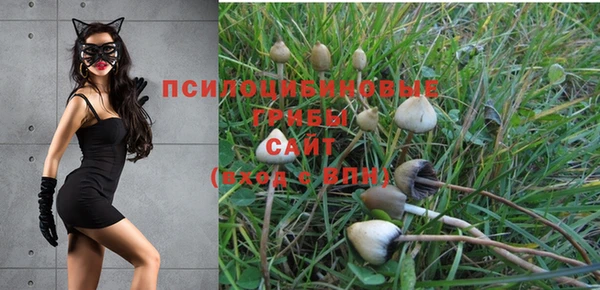крисы Надым