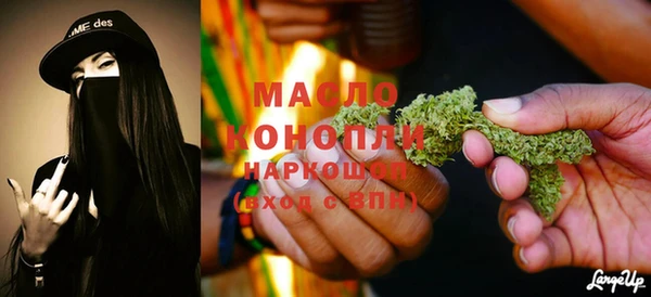 крисы Надым