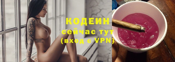 крисы Надым