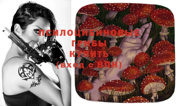 крисы Надым