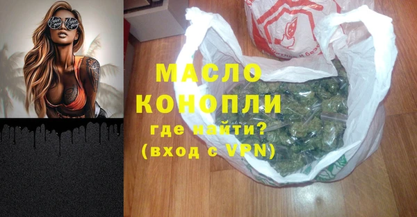 крисы Надым