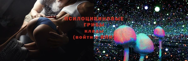 крисы Надым